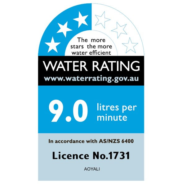 Twin Shower 250 NORICO with Diverter Gun Metal