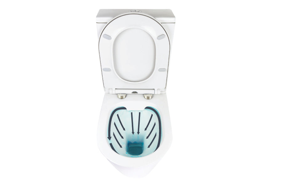 Wall Hung RENEE Rimless In-Wall Cistern Toilet, Soft close seat