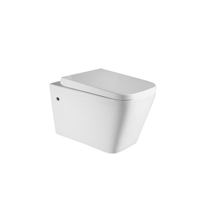 WALL HUNG KDK 303 Toilet Pan, In-wall Cistern, Flush Buttons, Soft Close